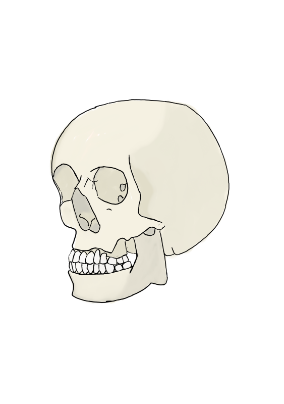 skull2.png